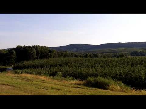 Top of the Hill in Milton New York