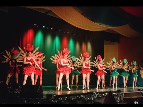 Showtanz "Rio de Röhlingen" 2020 1.Garde RöSeNa