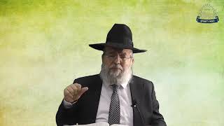 דף היומי בחצי שעה - סוכה דף ל"ח