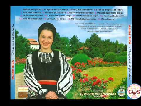 Alina Bica-Zii cu fluierul (Official Audio) NOU
