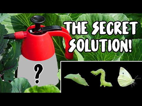 Organic Pest Control: The Quiet Revolution | Vibepedia