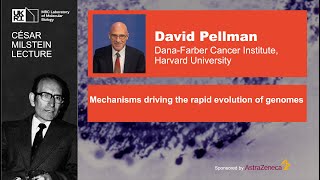 Milstein Lecture 2025: Mechanisms driving the rapid evolution of genomes by David Pellman
