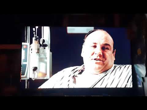The Sopranos Tony in the hospital with a Scientist