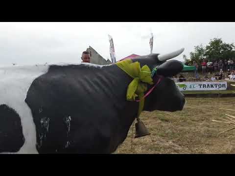 Krzysztof Sławik Ruda Kozielska Ciapek racing 2025 1