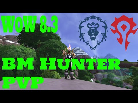 a WoW  hunter playlist ~ WoW 8.3 - Beast Mastery Hunter PvP