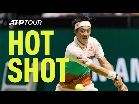 Теннис Nishikori Sails Gorgeous Lob over Fucsovics In Rotterdam 2019