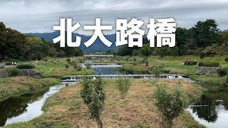 賀茂川【北大路橋（北側）】（2025年10月11日）