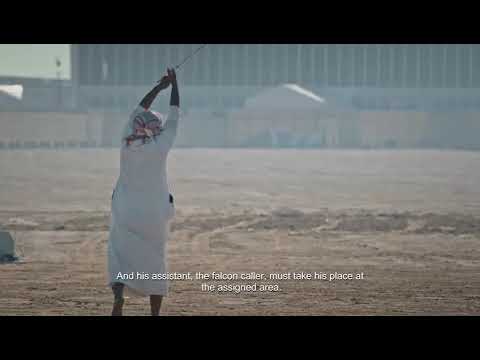 IFFSR Video 1 thumbnail