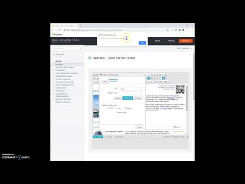 RadEditor Find and Replace dialog