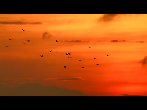 Meet me where sunshine meets the nature || Ridwan Muhib