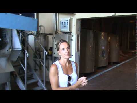 Château de Beaucastel.wmv