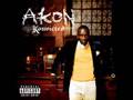 I Wanna Love U - Akon - Konvicted 