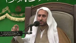 مولد الإمام محمد الجواد ( ع )