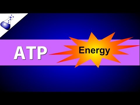 image-What does ATP mean in medical terms? 