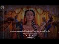 Radha Rajabhishek Theme RadhaKrishna Theme