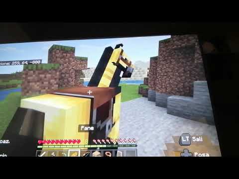 Facciamo la farm di pillager (non funzionante) e troviamo un altro villaggio del deserto