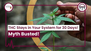 THC Stays in Your System for 30 Days! Myth busted!