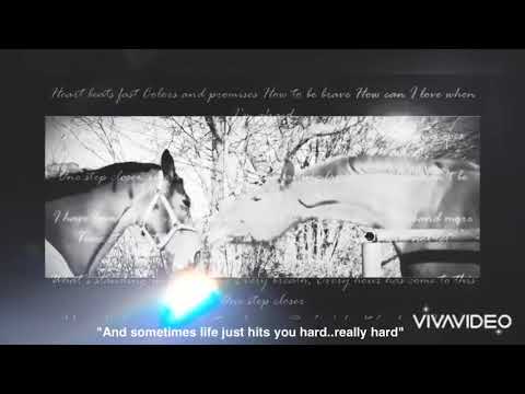 Rest in Peace Lancelot