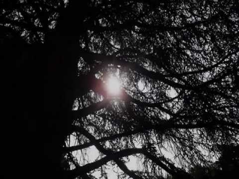 La p'tite fée - Le Sextet à Claques