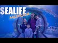 Sea Life Aquarium Nj Discount Tickets