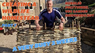 CREATING A WILDLIFE HOMESTEAD - POLYTUNNEL BUILD - SHEPHERDS HUT - TREE PLANTING