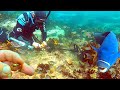 DIVE for GOLD Metal Detecting UNDER 1800's Cemetery with BIG FISH