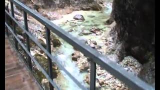 preview picture of video 'almbachklamm gorge.wmv'