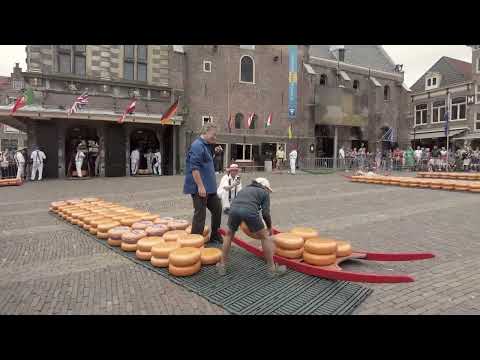 Cheese Market in Alkmaar, The Netherlands