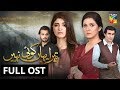 Tera Yahan Koi Nahin Full OST HUM TV Drama