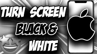 How Turn iPhone Screen Black & White ✅ IPhone Grayscale