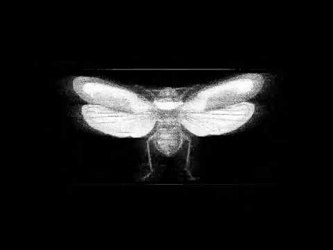 BIẾT BỐ MÀY LÀ AI KHÔNG - 24K Right x Obito (Gaz Mix)