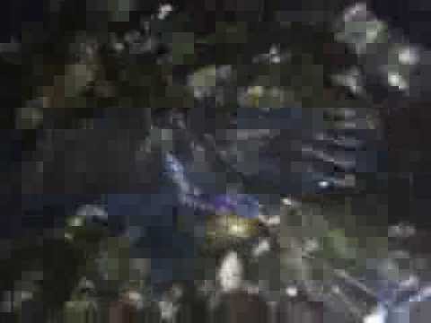 Pustena mladica 14kg na Drini - Miso Vasic!!!