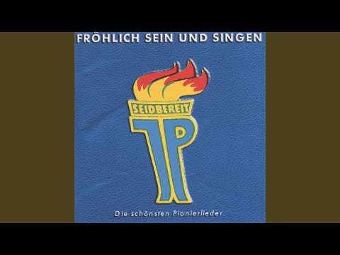 Kleine weiße Friedenstaube