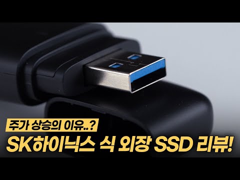 SKÇÏÀ̴нº Tube T31 Stick SSD