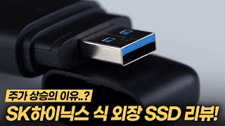 SK하이닉스 Tube T31 Stick SSD (1TB)_동영상_이미지