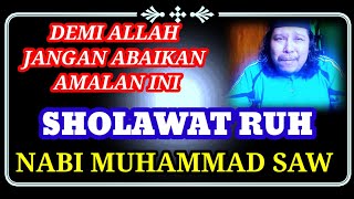 Download lagu PRAYER FOR THE SOUL OF THE PROPHET MUHAMMAD SAW. BESIDES MEETING HIM, MIRACLES WILL ALWAYS BE THE... mp3 Download lagu PRAYER FOR THE SOUL OF THE PROPHET MUHAMMAD SAW. BESIDES MEETING HIM, MIRACLES WILL ALWAYS BE THE... mp3