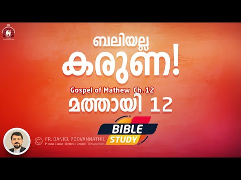 Mathew Ch 12. Fr Daniel Poovannathil