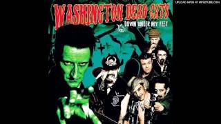 washington dead cats - what a full moon can do