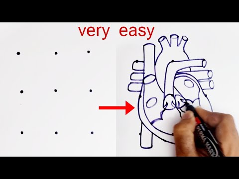 3X3 dots turns into Human Heart Diagram drawing class 10 science biology