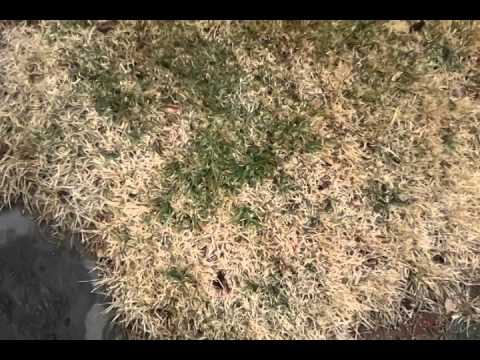 Firestorm 54 Main Ejection Ground Test