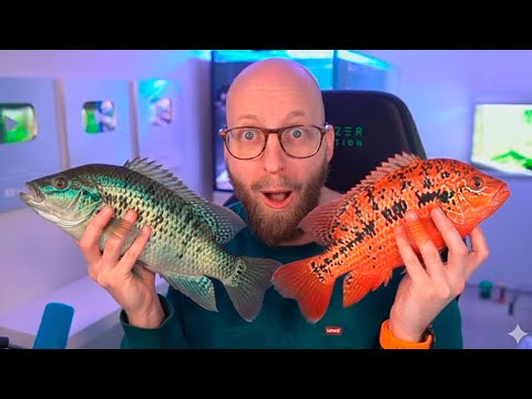 Har Lavet Alle Akvarierne Om