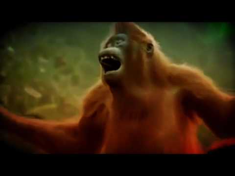 Hoch die Hände Wochenende - Hans Entertainment Finger & Kadel