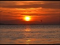 Irma - I know 
