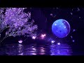 FALL INTO SLEEP INSTANTLY ★︎ Relaxing Music to Reduce Anxiety and Help You Sleep ★︎ Meditation