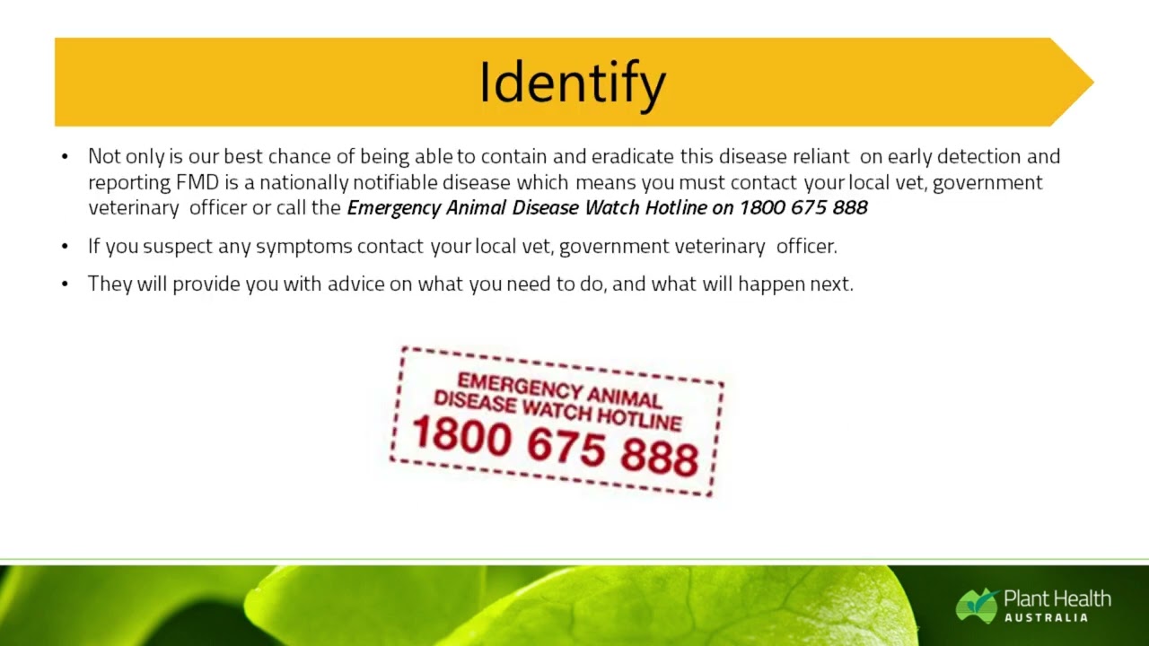 FMD Webinar - The importance of biosecurity planning