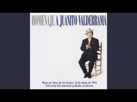 La Morena de Mi Copla