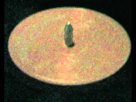 Red Follies Featuring M.J. White - What Is Your Want  (Red's Remix)