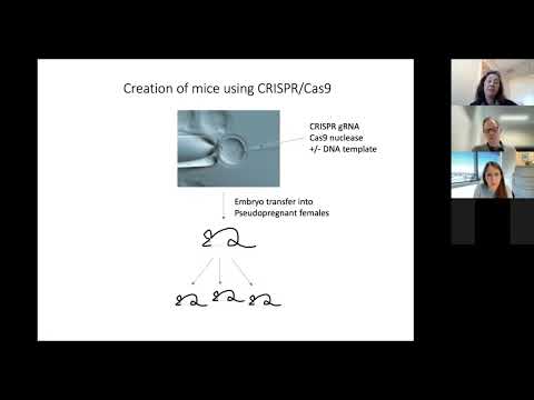 Mouse Genetics Core Facility, University of Colorado School of Medicine
