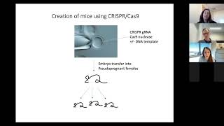 Mouse Genetics Core Facility, University of Colorado School of Medicine