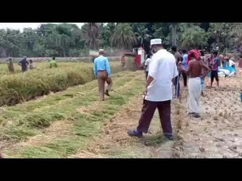 বাংলার কৃষি